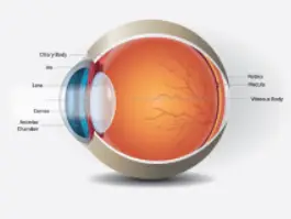 Retina Treatment